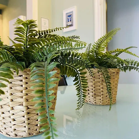 Heart אכסניה *